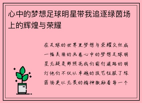 心中的梦想足球明星带我追逐绿茵场上的辉煌与荣耀